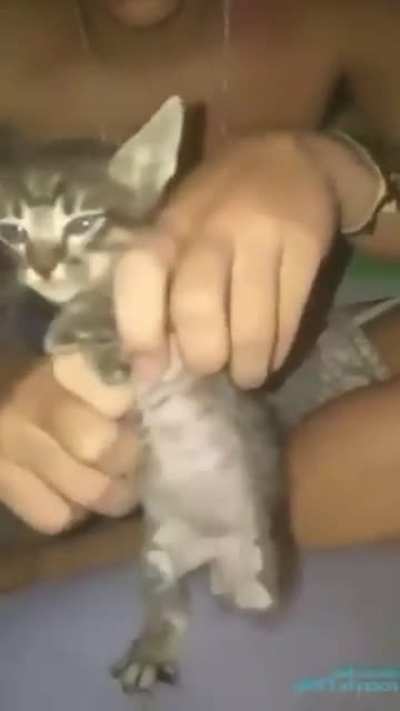 Kkkkk
