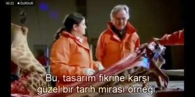 Evrimsel İzler #3: Hayvanlarda ortak olarak beyinden çıkan N. Laryngeus siniri Aort'un altından tur atarak Larynx'e ulaşır. İnsan ya da diğer hayvanlar için önemsiz görülen bu detay, zürafa gibi boynu uzun hayvanlarda anlamsız bir duruma sebep olur. Dawki