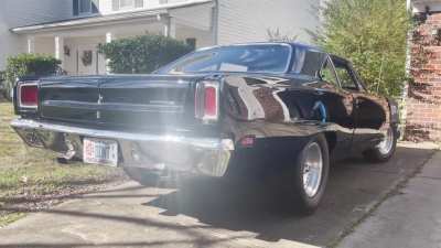 Lots of roadrunner love lately, so here&rsquo;s mine.
