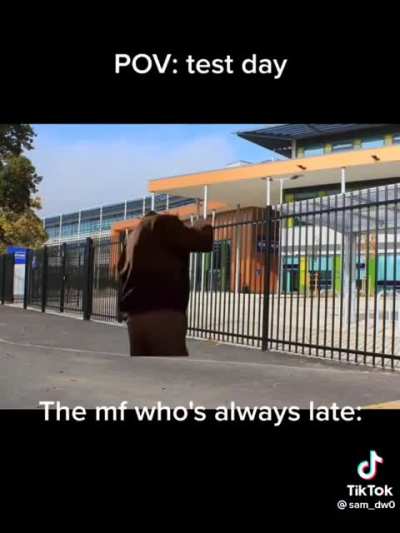 Pov: test day