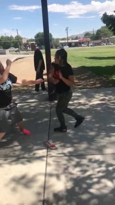 Nothing much just a skatepark kitty fight