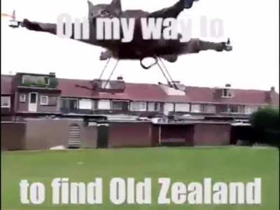I&rsquo;m going to find it retards 🦾🐟💦