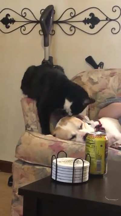 Helping his bro clean those parts he can&rsquo;t reach