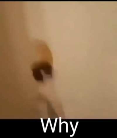 Why