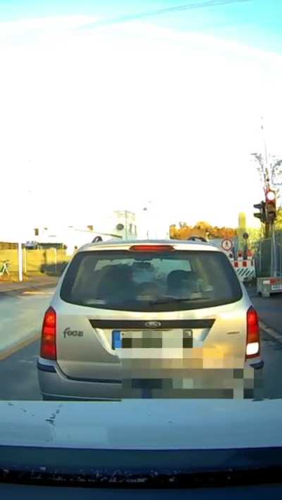 Repost of "She reversed for reasons still unknown to me [OC]" 