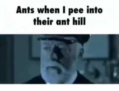Evacuate Immediately