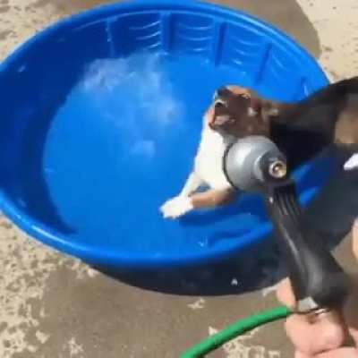 To get sprinkled