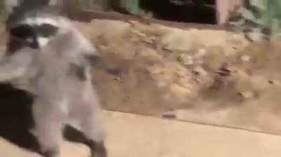Caught right in the act