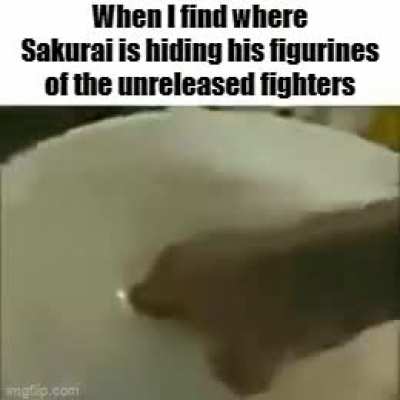 Very cool Sakurai!