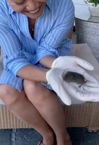 Cat caught this mouse, and my girlfriend wanted to save it