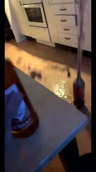 Absolute chaos.