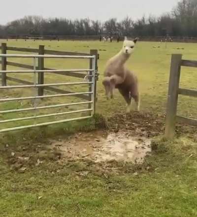 PARKOUR!!!