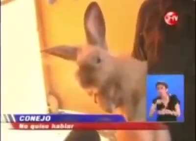 no quiso hablar