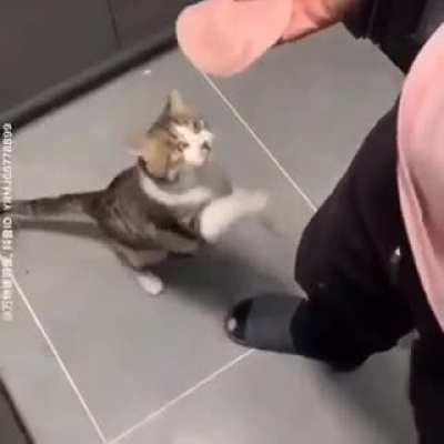 funny - Video #5384