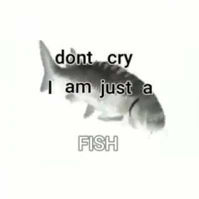 🐟