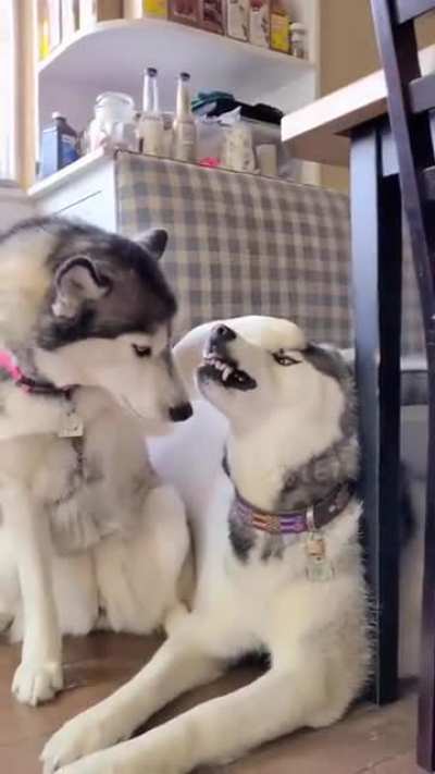 wanna kiss