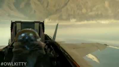 Call sign OwlKitty