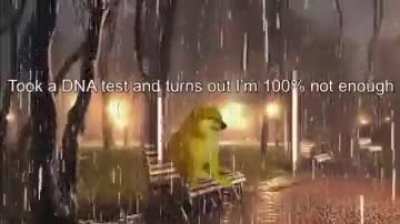 Me_irl