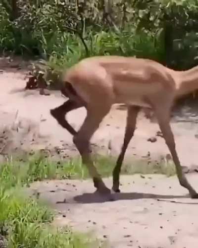 Caption this...😄