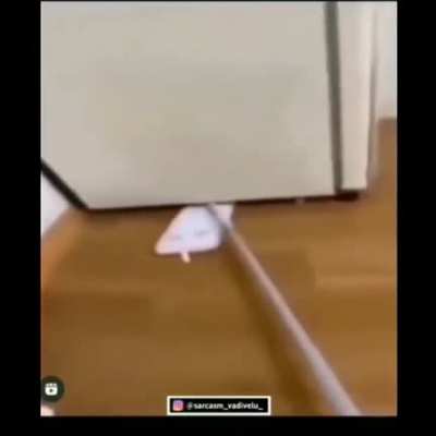 Let's clean the floor