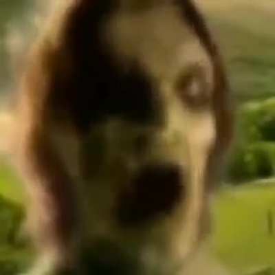 Dame da ne