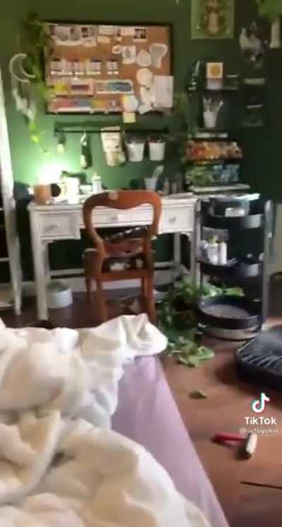 Kitty takes a tumble