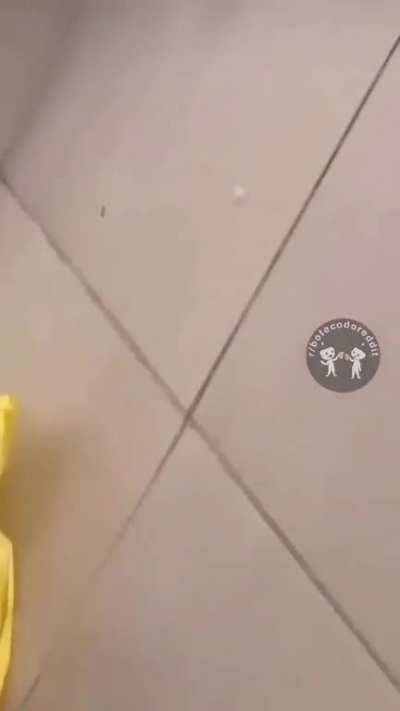 Culin&aacute;ria n&atilde;o &eacute; meu forte