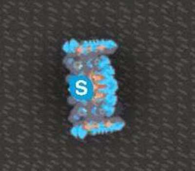skype reign 😳 (100 upvote for the next drip unit)