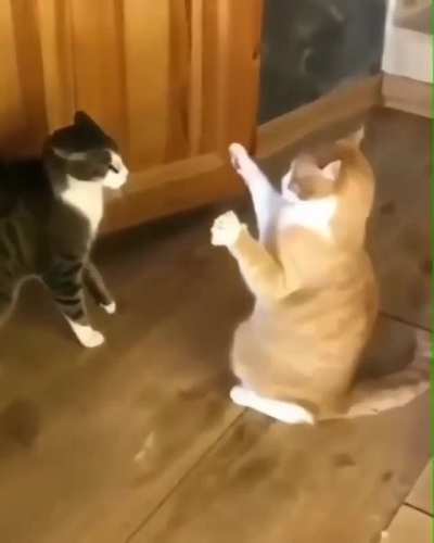 Force push