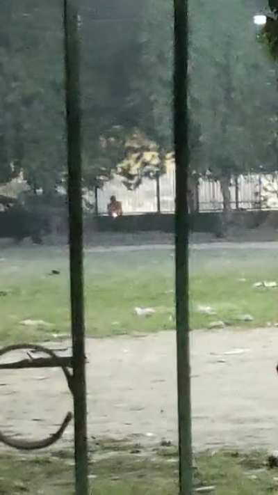 Gaddar Sale it happened in Delhi, Mukherjee nagar in my colony