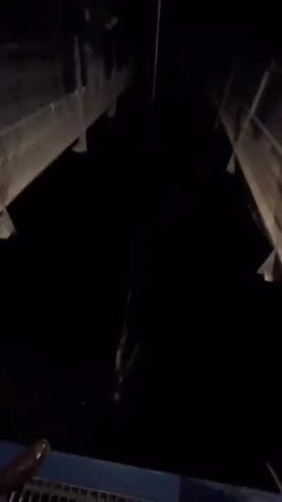 Bungee that operates only in dark