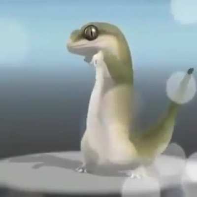 PUTA QUE PARIU, meu gato botou um ovo, mas o gato n&atilde;o p&otilde;em ovo, PUTA QUE PARIU de novo mar PUTA QUE PARIU. Pega o gato, arrocha o gato, n&atilde;o &eacute; gato, &eacute; um macaco, banana pra todo lado, mer PUTA QUE PARIU x2