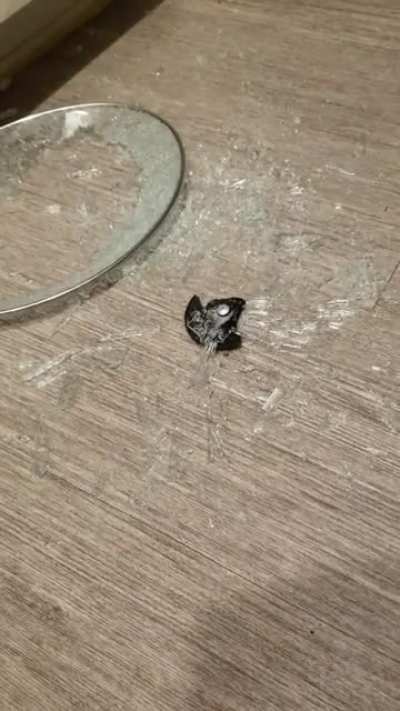 I dropped a glass lid and it's still breaking