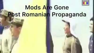 me after the Discord mods are gone
