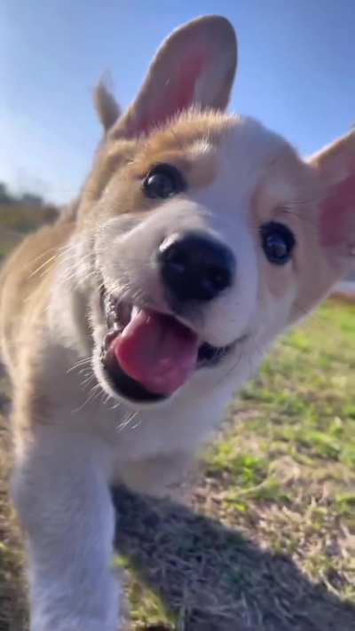 So adorable