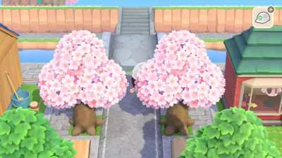 First little area I'm happy with :3