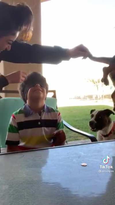 Little kid gets traumatized