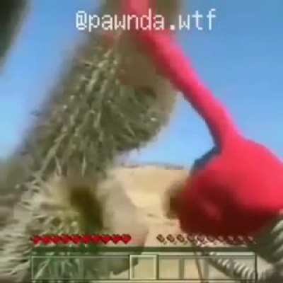 Wey qu&eacute;date quieto!!