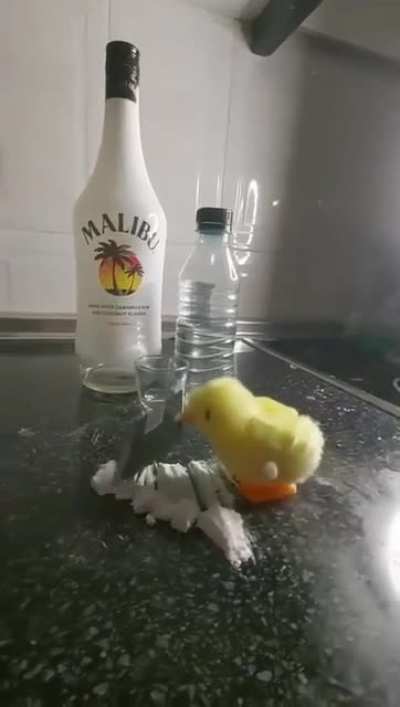 Duck power
