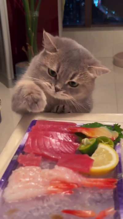 Kitty: "Can I have that please?"