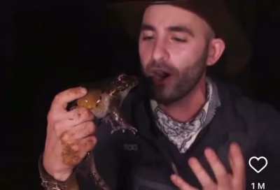 Frog POV: You&rsquo;ve been captured