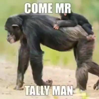 Life of monke