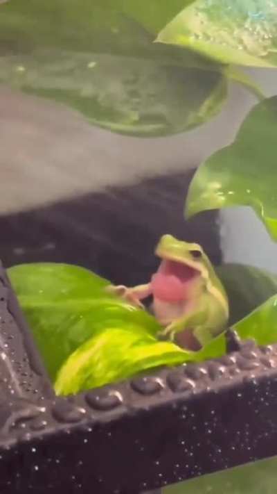 He thirsty