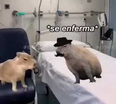 carpincho