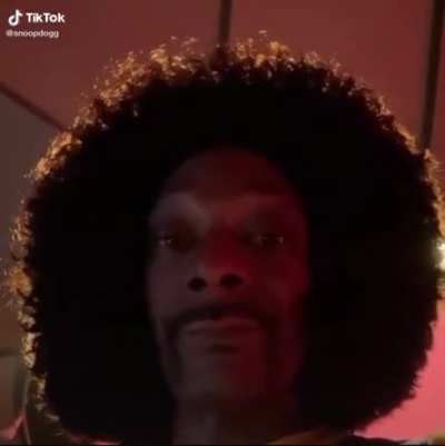 I better shape up Dogg