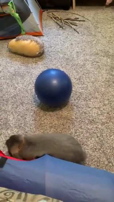 More of Gary&rsquo;s fancy footwork