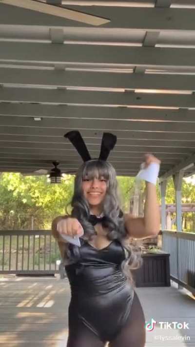 I think bunny girls are my favorite