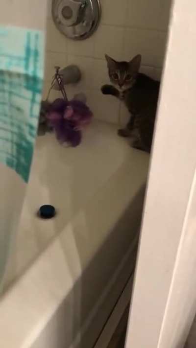 Busted.