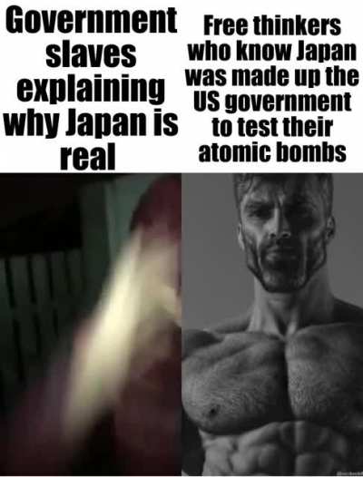 Y&rsquo;all be in 2021 and still think Japan is real lol use your brain