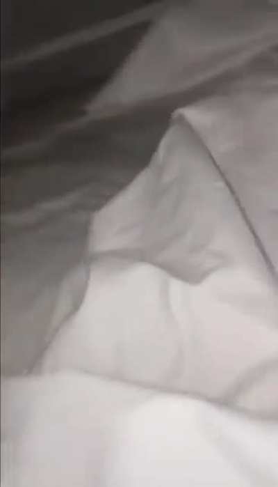 Cozy bed